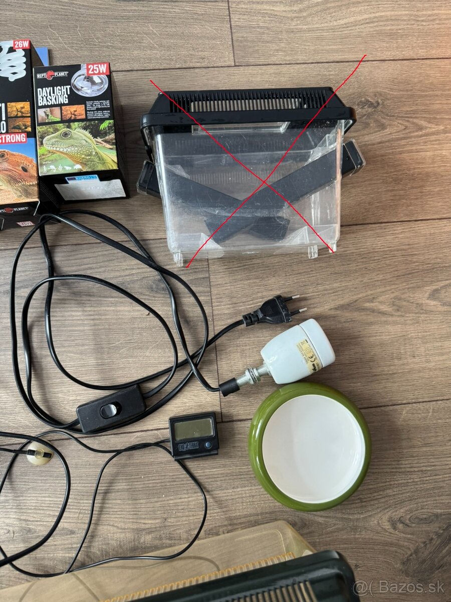 veci po chove agamy bradatej - 4