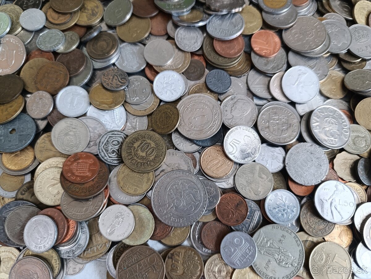 Mince 3.5kg lot2 - 4