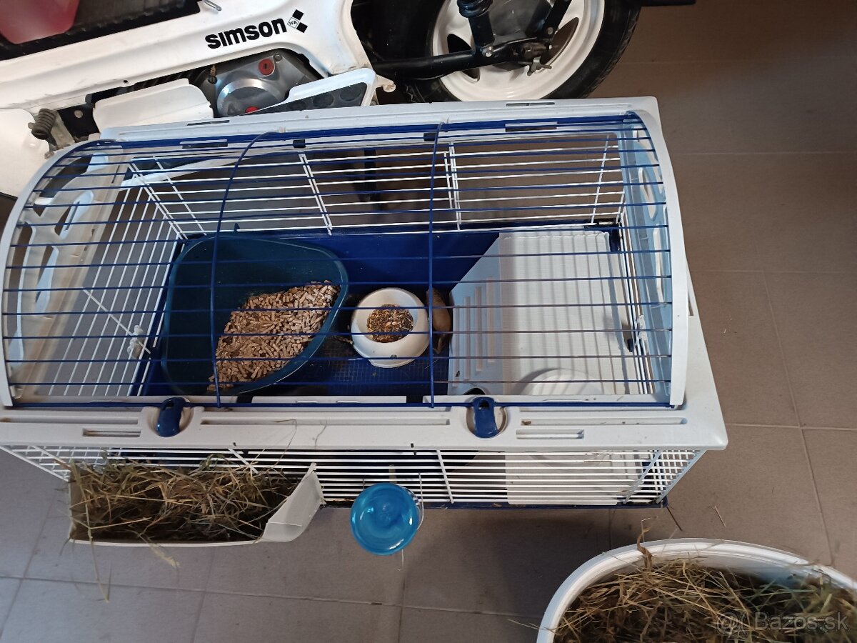 Predáme zajkov aj jednotlivo - 4