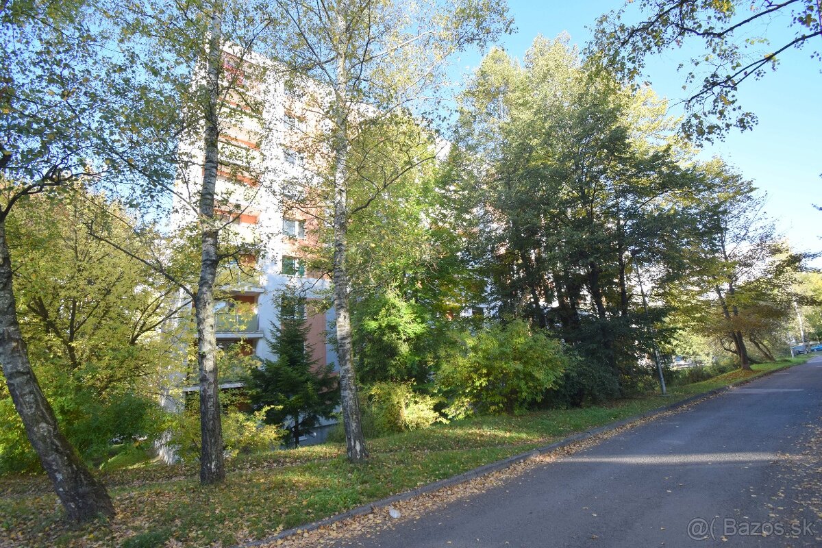 Pripravujeme do ponuky 3 izbový byt - 4