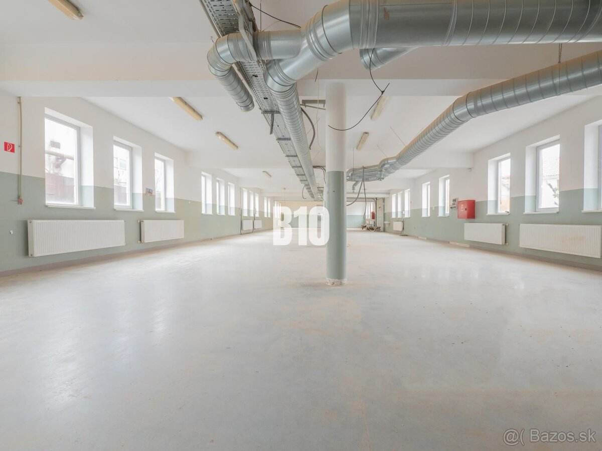 Priemyselné priestory, výrobné haly a dielne v Leviciach - 4