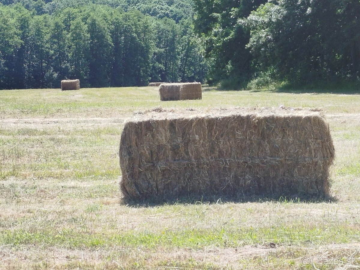 PREDAM VELKE BALIKY SENA - 4