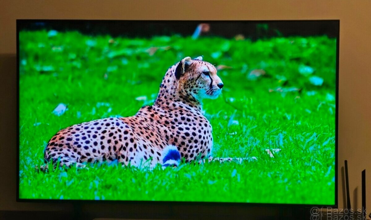 Samsung QLED Ultra HD 4K Smart TV 50" (127 cm) - 4