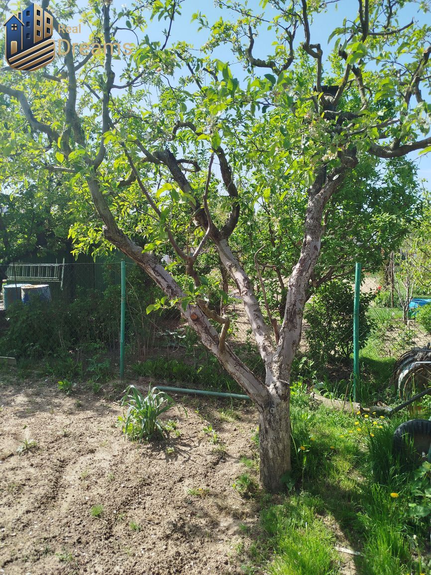 Na predaj záhrada v záhradkárskej osade v Šali – Veči - 4