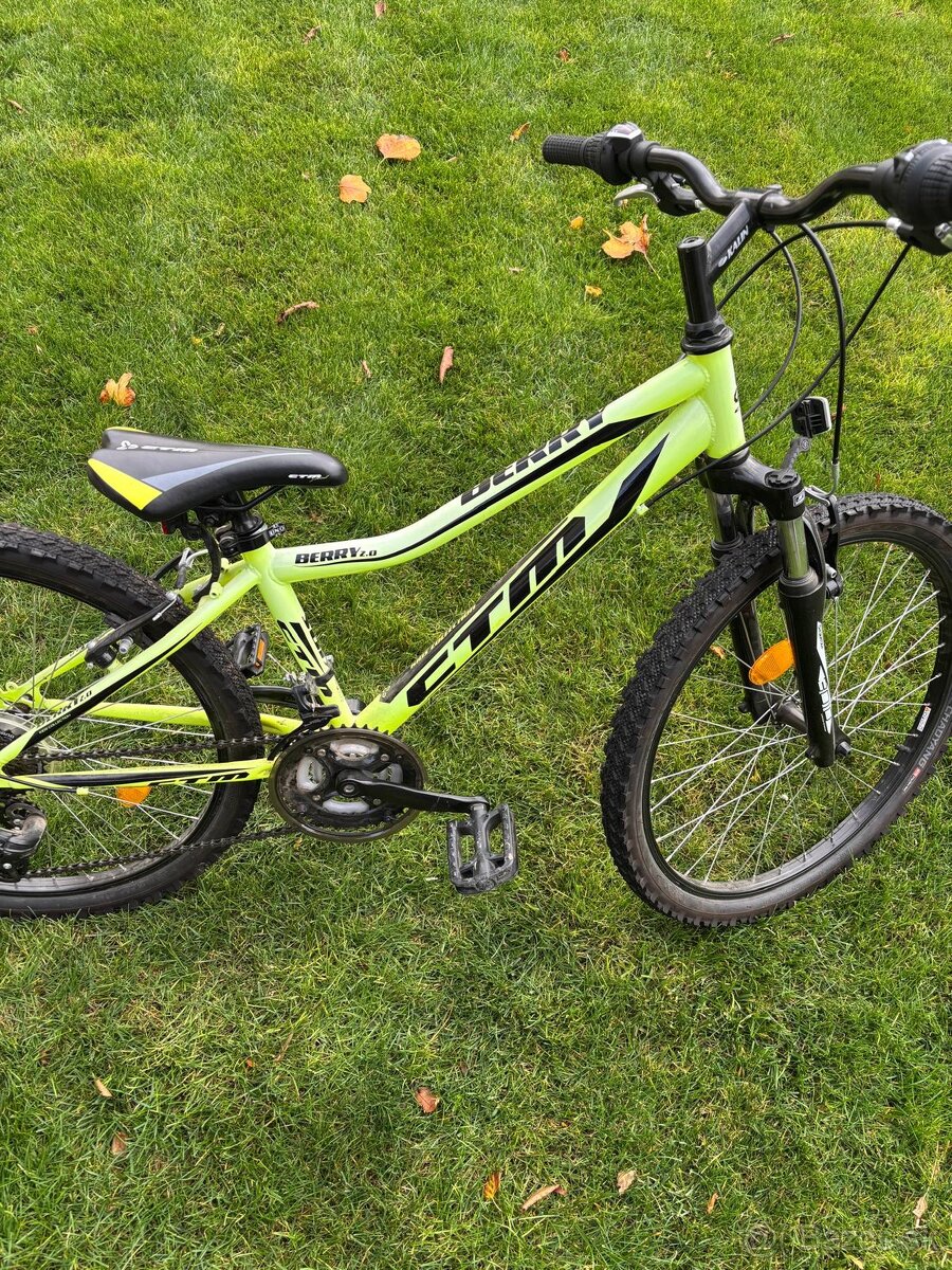 Lyže, palice, bicykle, nosič - 4