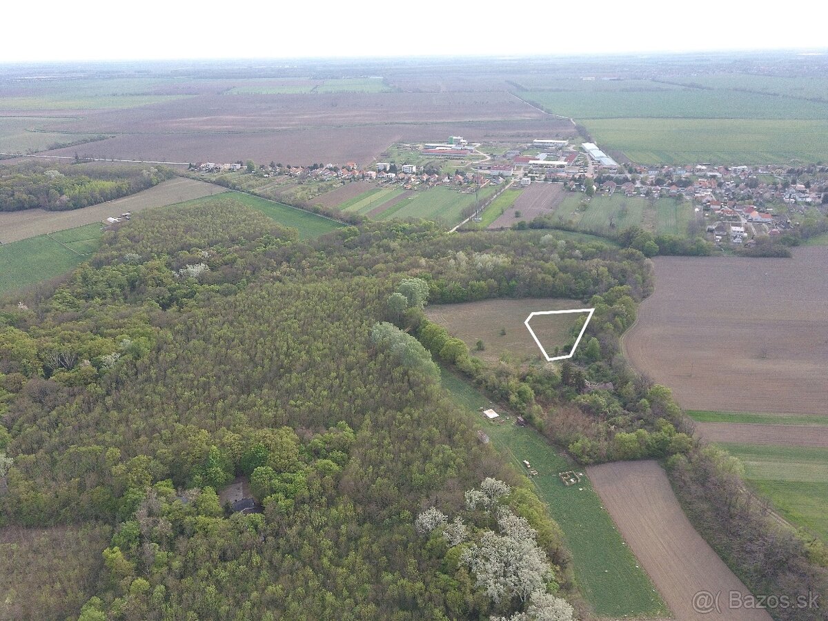 🏡 PRIESTOR, KTORÝ MÁ HLAVU AJ BUDÚCNOSŤ - 4