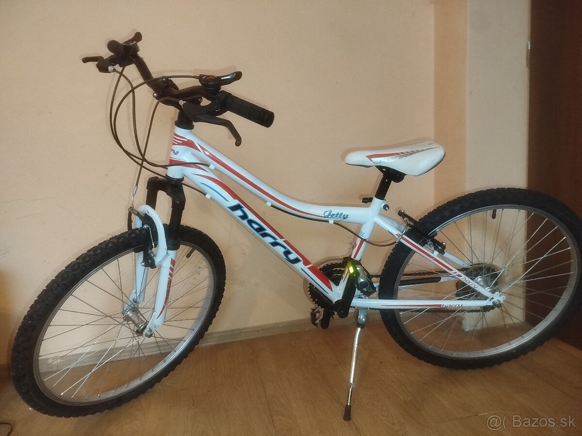 Bicykel 24 Harry jetty - 4