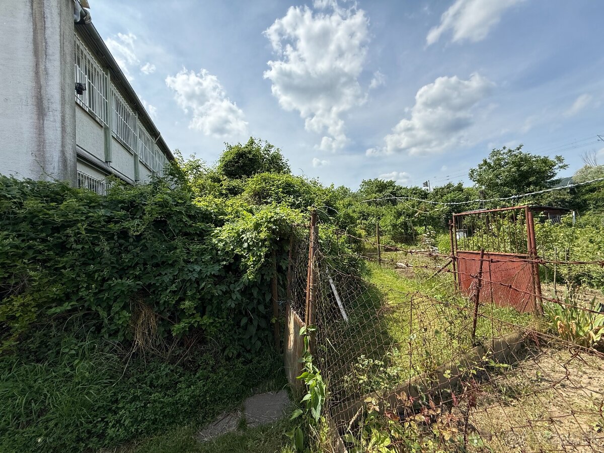 Záhrada na pestovanie nedaleko Námestia Biely kríž - 4