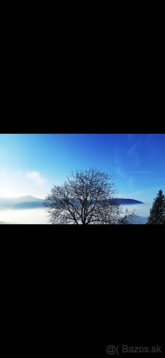 Rekreačný pozemok s chatkou - 4