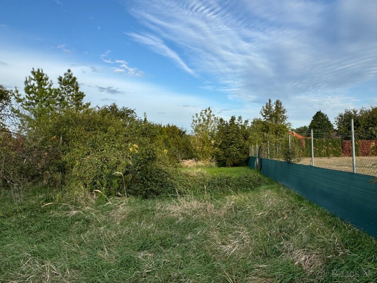PREDAJ, starší RD s veľkým pozemkom, INVESTIČNÝ POTENCIÁL - 4
