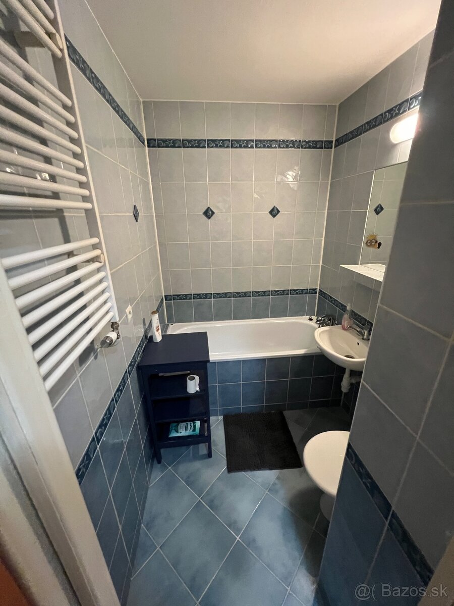 1 izbovy byt v Banskej Bystrici na prenajom - 4