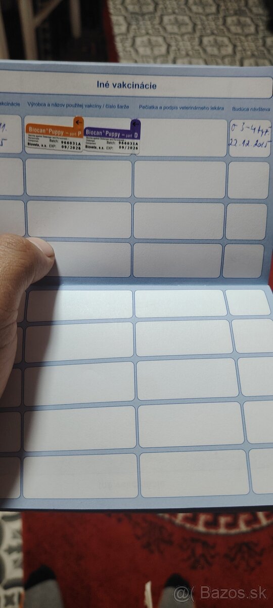 Nemecký ovčiak - 4