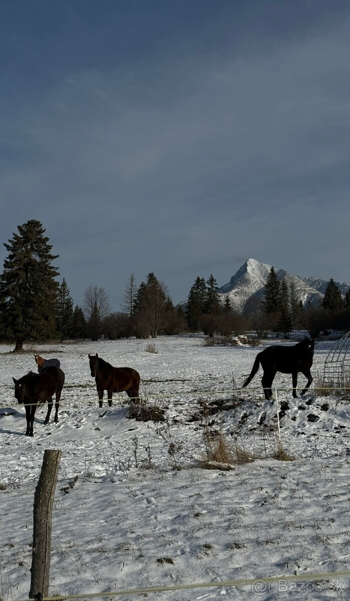 Predám pozemok pod Tatrami Východná - 4