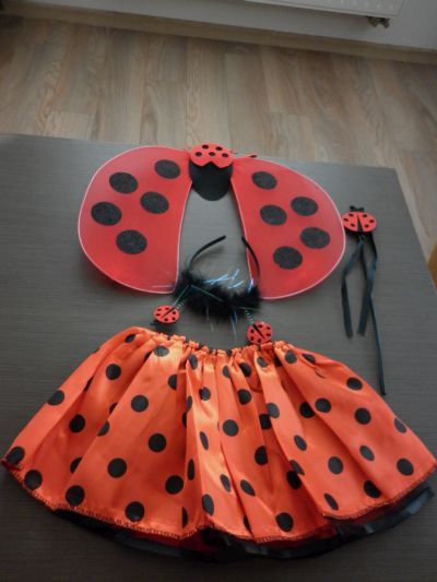 Lienka karnevalový kostým - 4