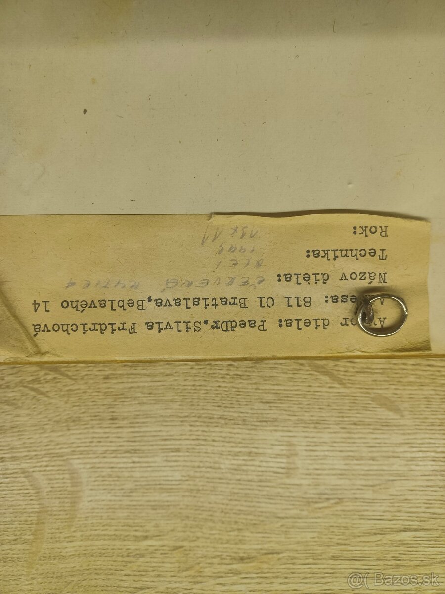 Obrazy Silvia Fridrichová - 4