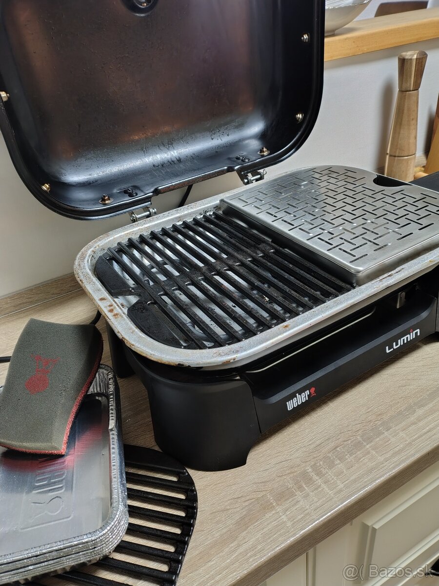 gril Weber Lumin - 4