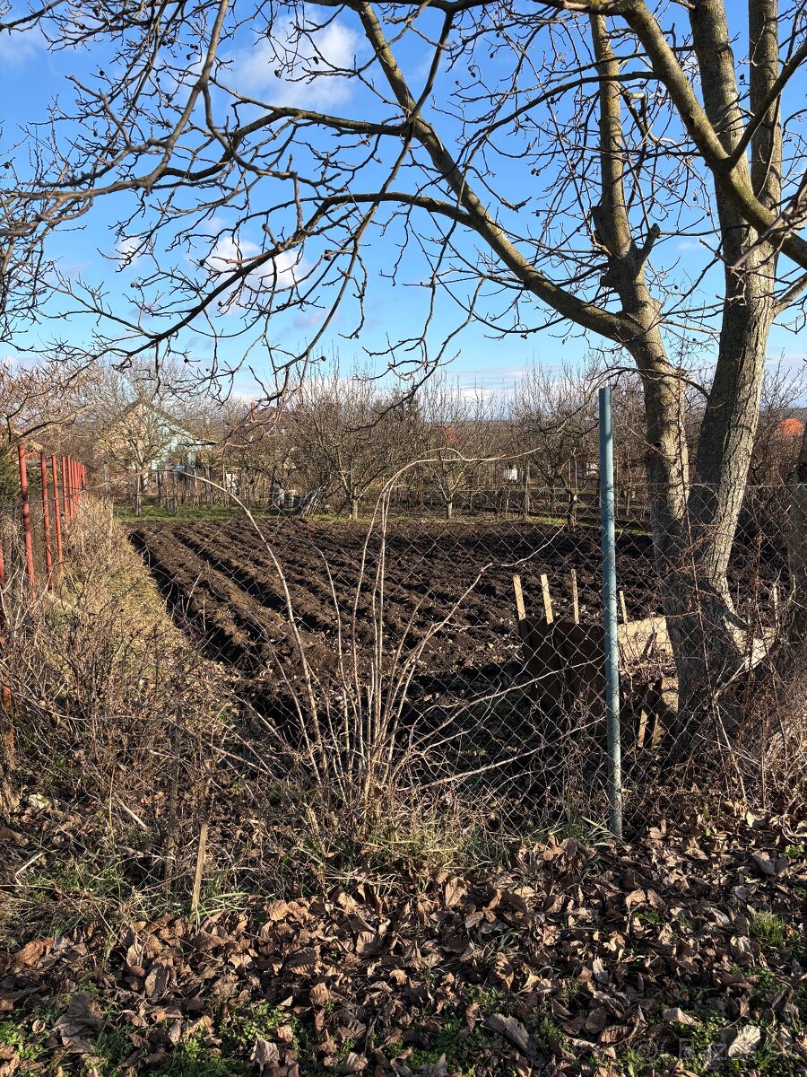 Záhrada vhodná ako stavebný pozemok - 4