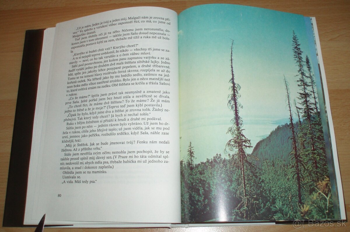 Černý sobol, hnědý medvěd - 4