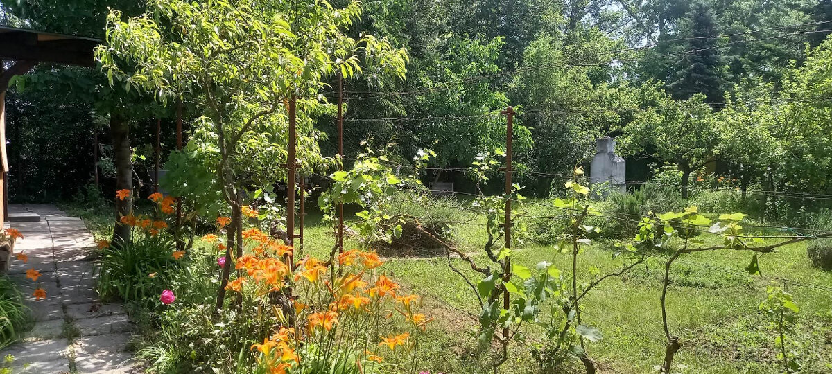 Záhradka v Seredi - 4