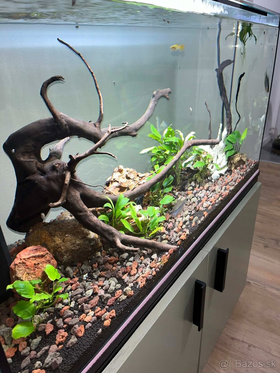 Predám akváriový set - 4