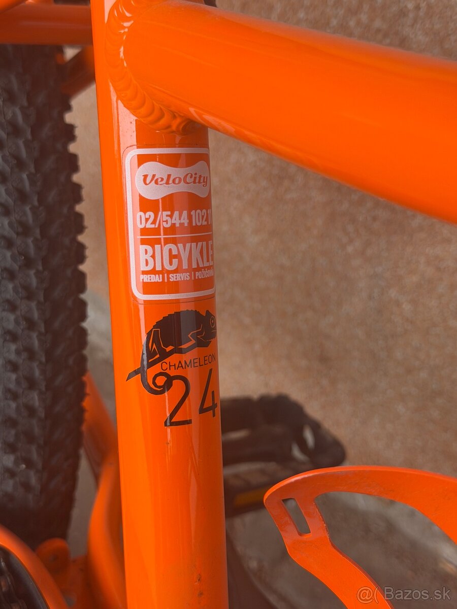 Naloo Chameleon 24 - detský bicykel - 4