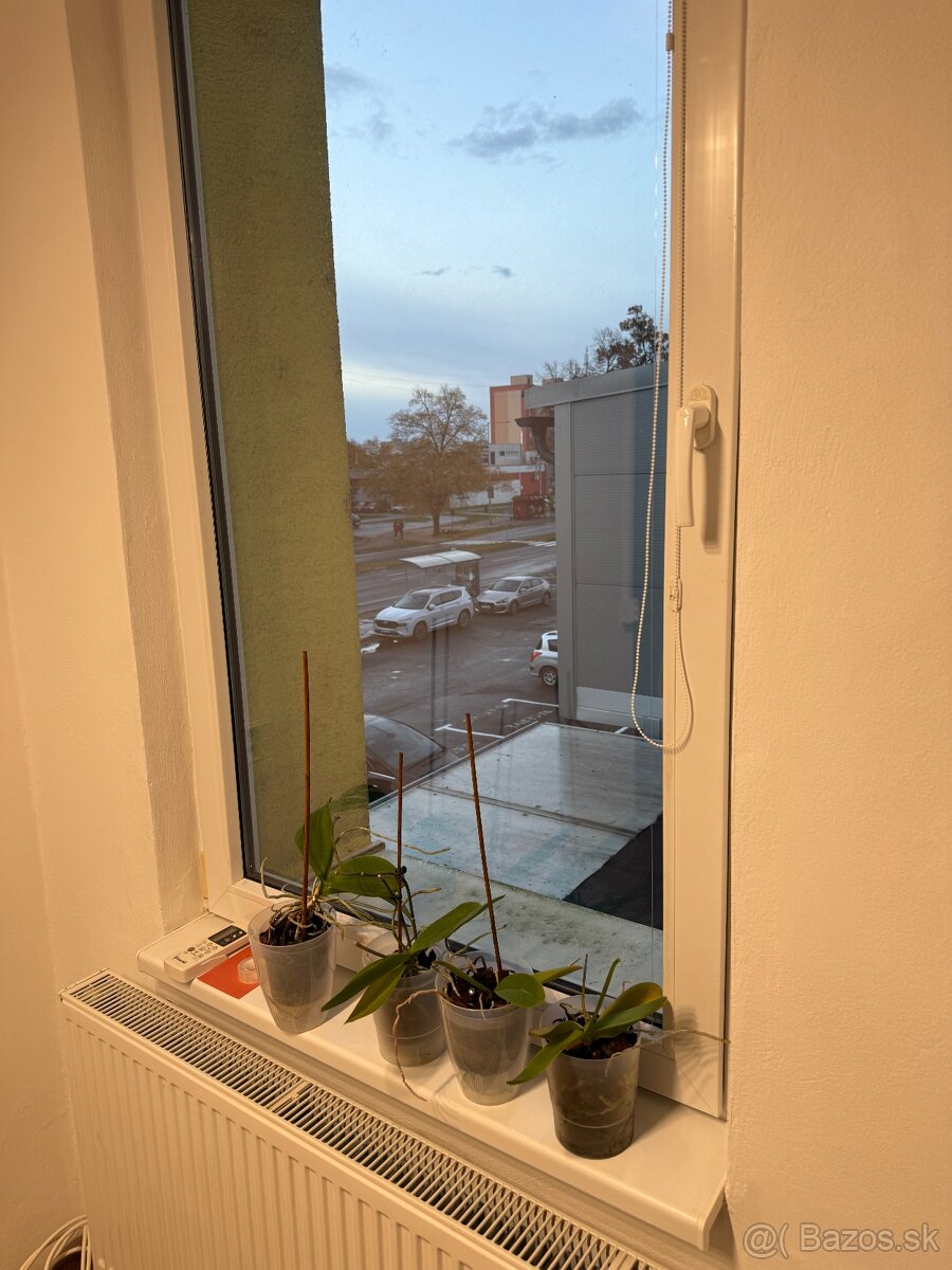 Krásny priestor na prenájom - 4