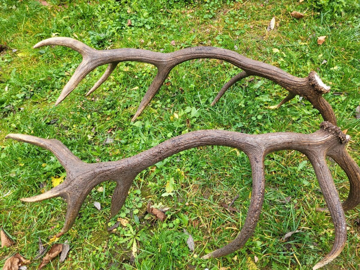 Parozie,parohy,zhody - 4