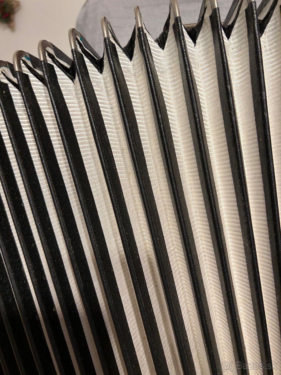 harmonika Delicia Junior IV, s originalnym púzdrom - 4