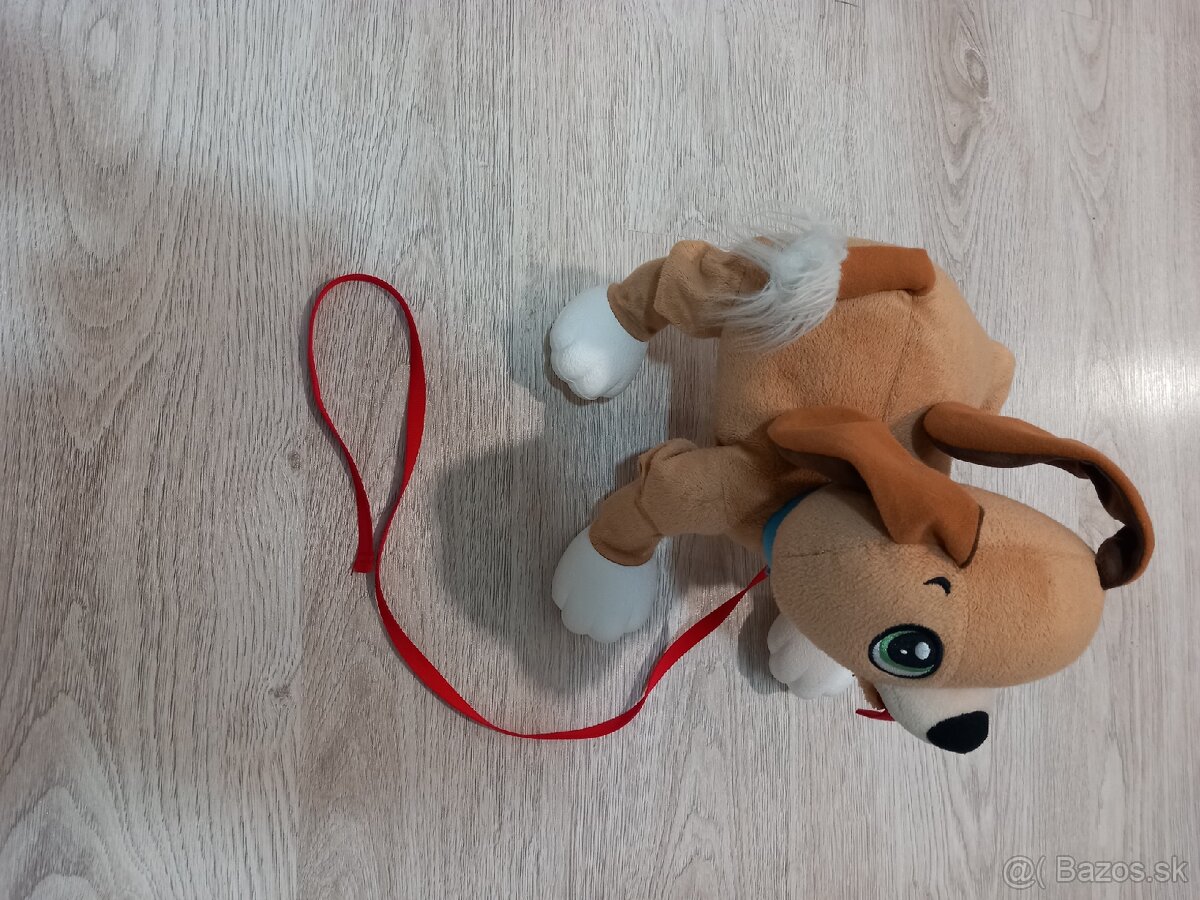 Predám floppy psa - 4