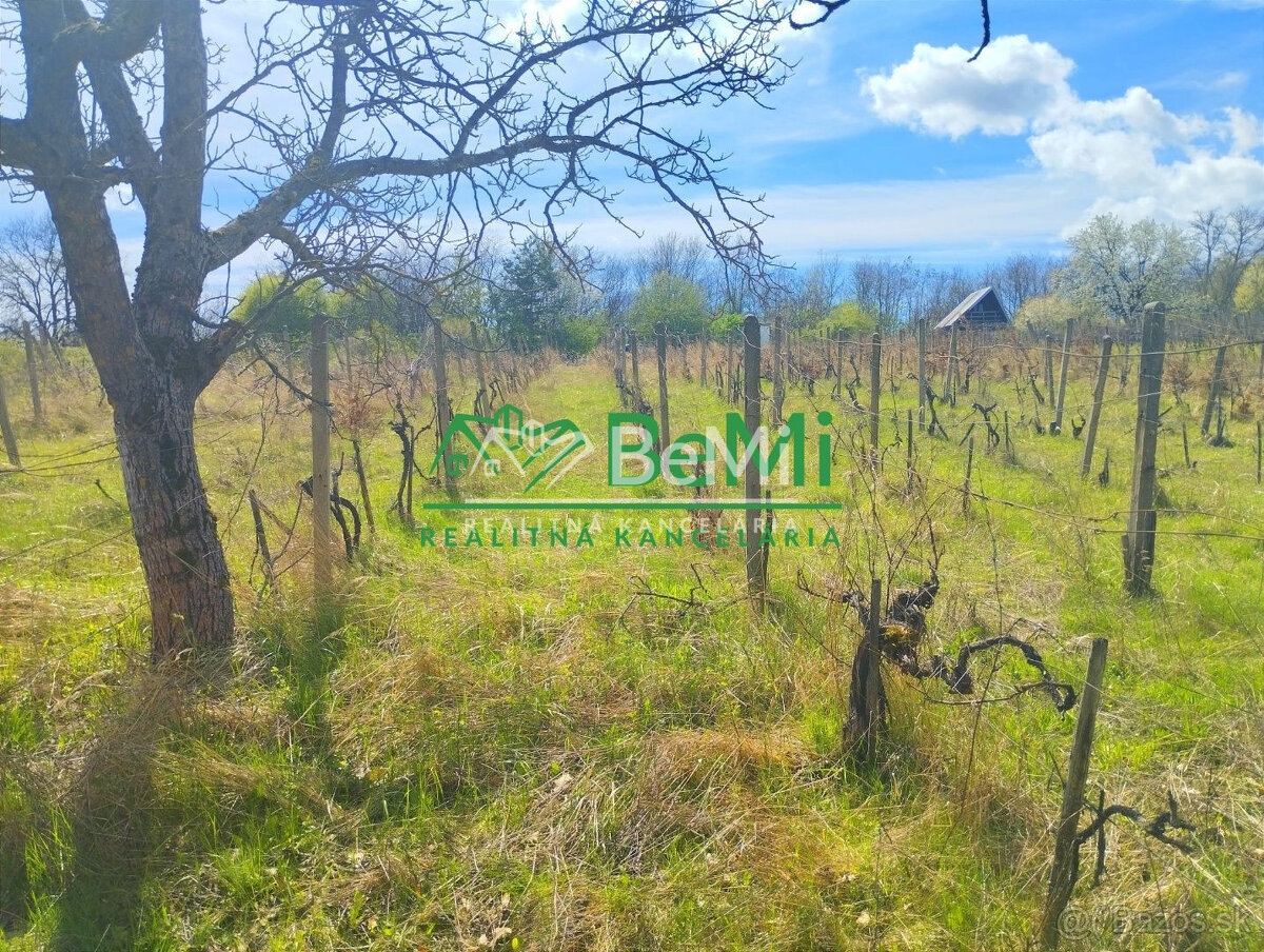 Vinica-Slovenské Kľačany-predaj - 4