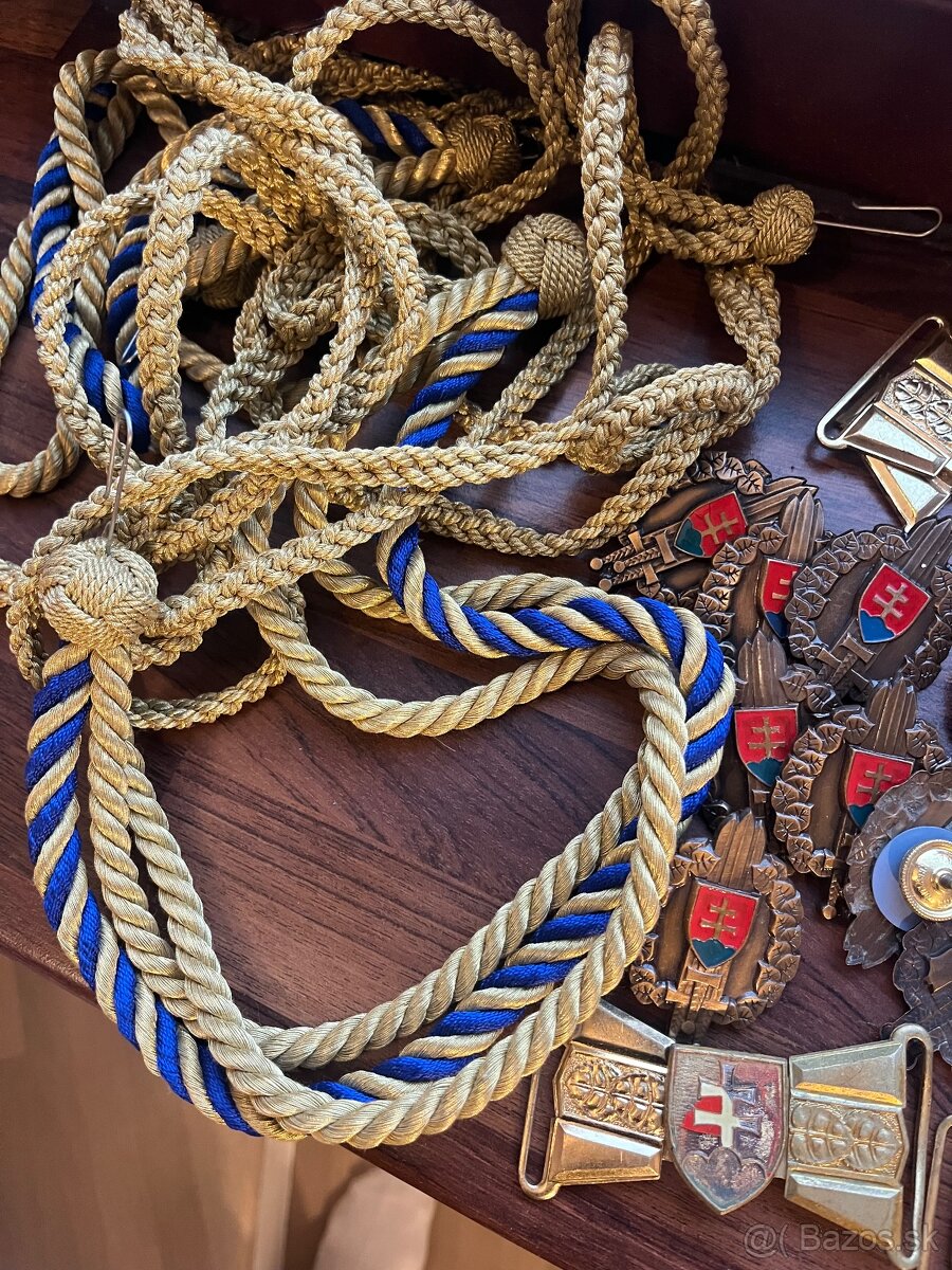 Slovenská armáda,Čestná stráž - 4