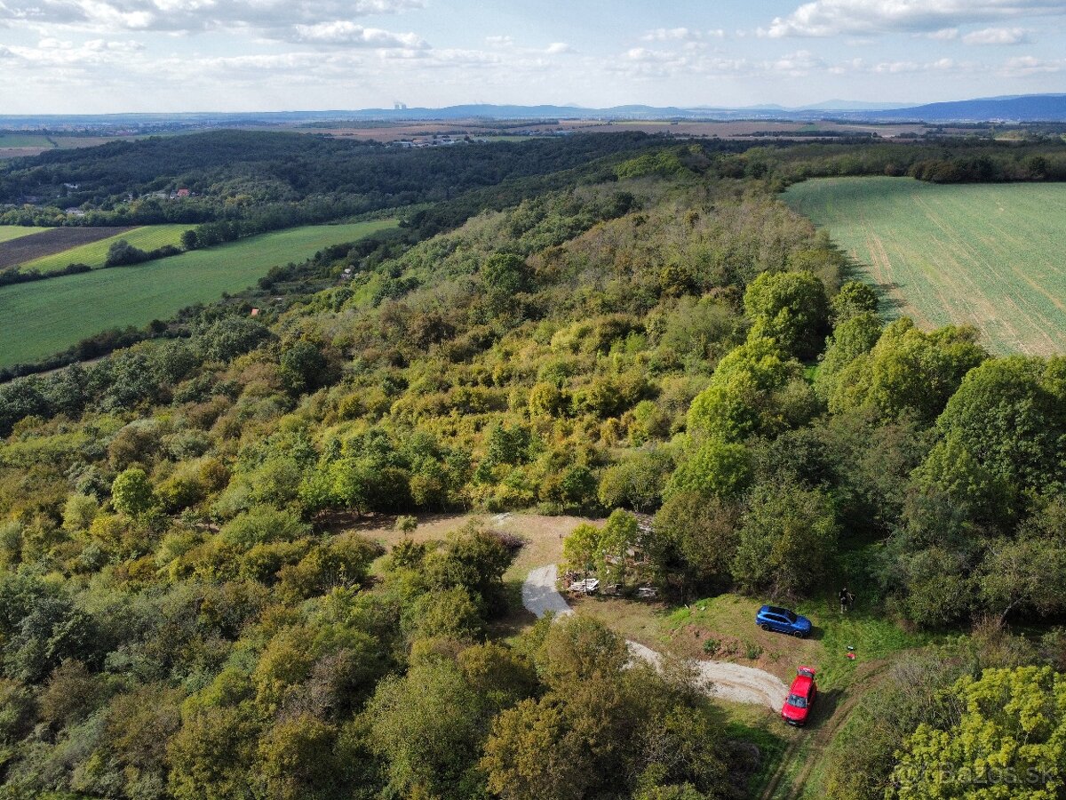 Kúp si svoj vlastný kúsok lesa – 6,82 ha prírody čaká na teb - 4