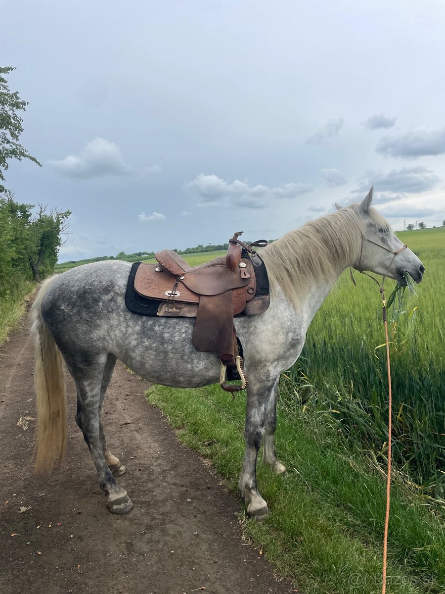 Westernové sedlo-SÚRNE - 4