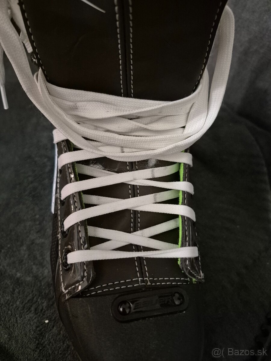 Korčule Bauer x LS - 4