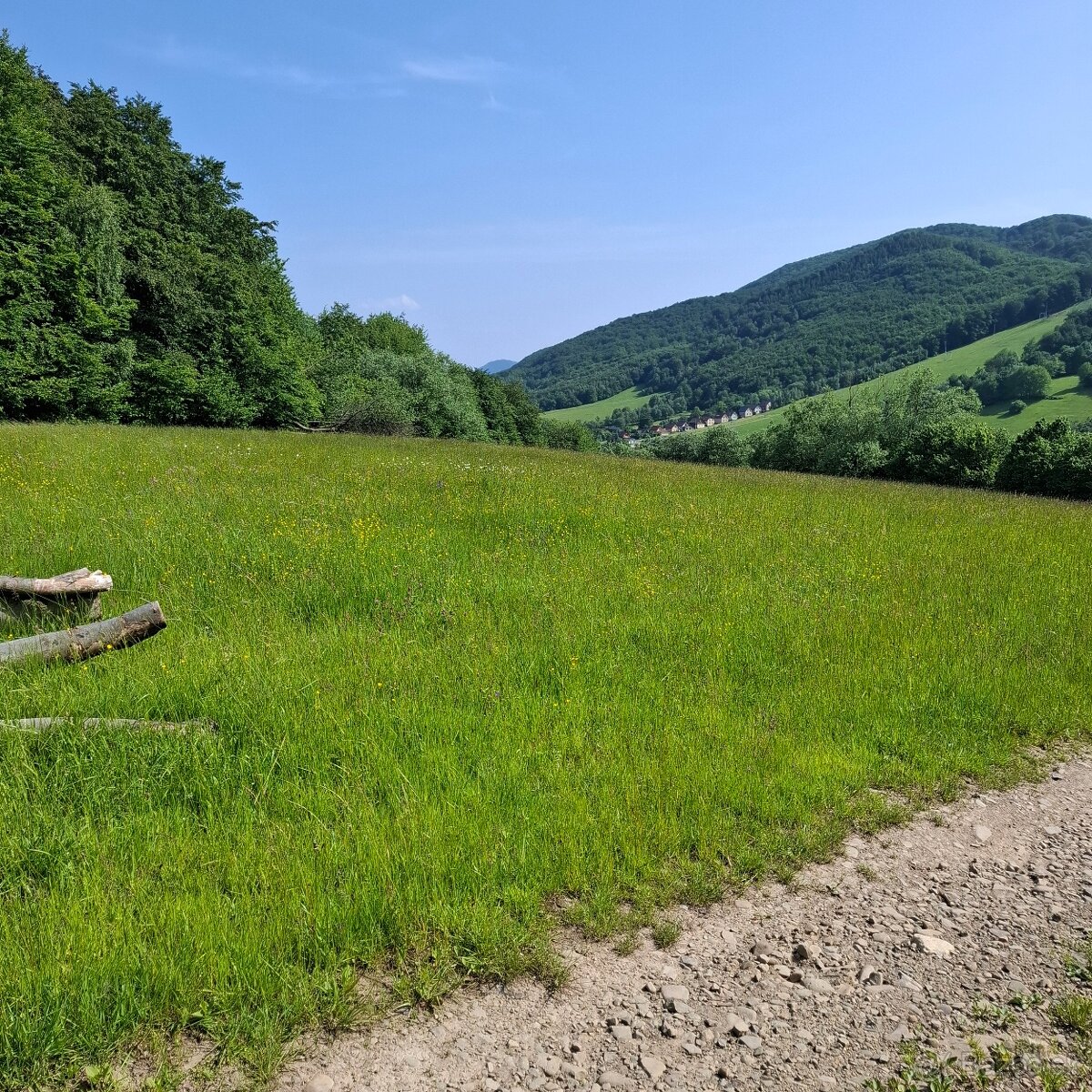 POZEMOK NA VÝSTAVBU REKREAČNEJ CHATY-REGETOVKA - 4
