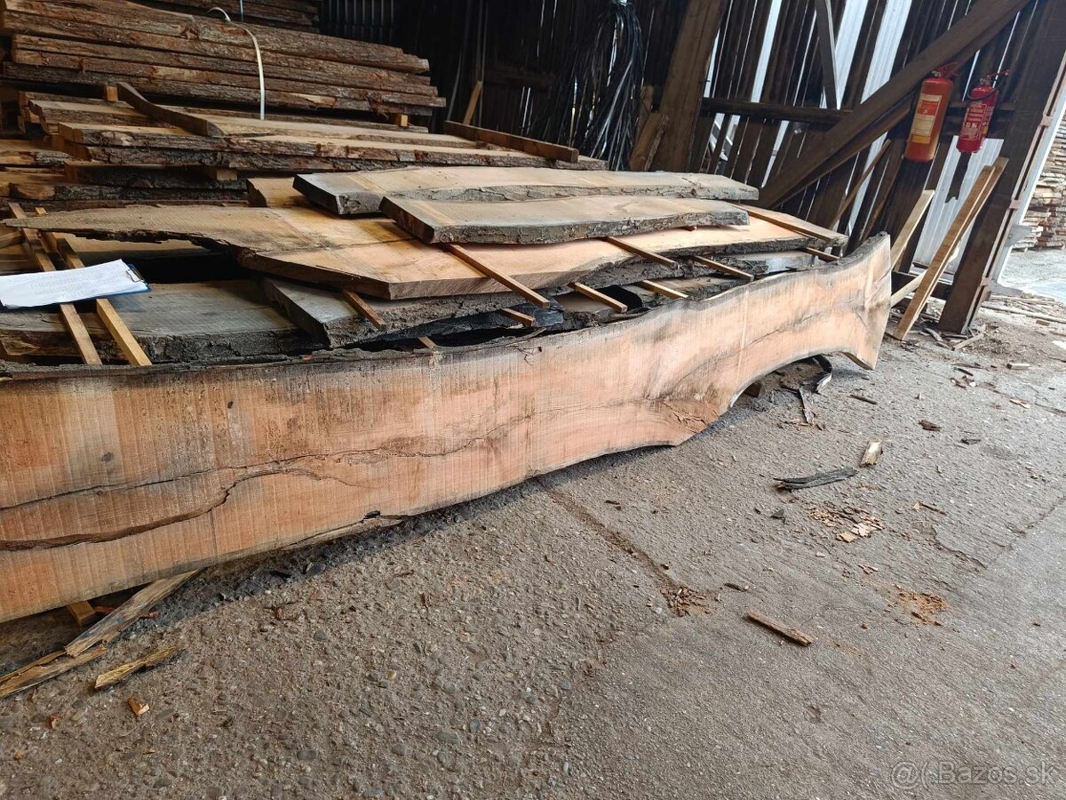 Japonská sophora - fošne - 4