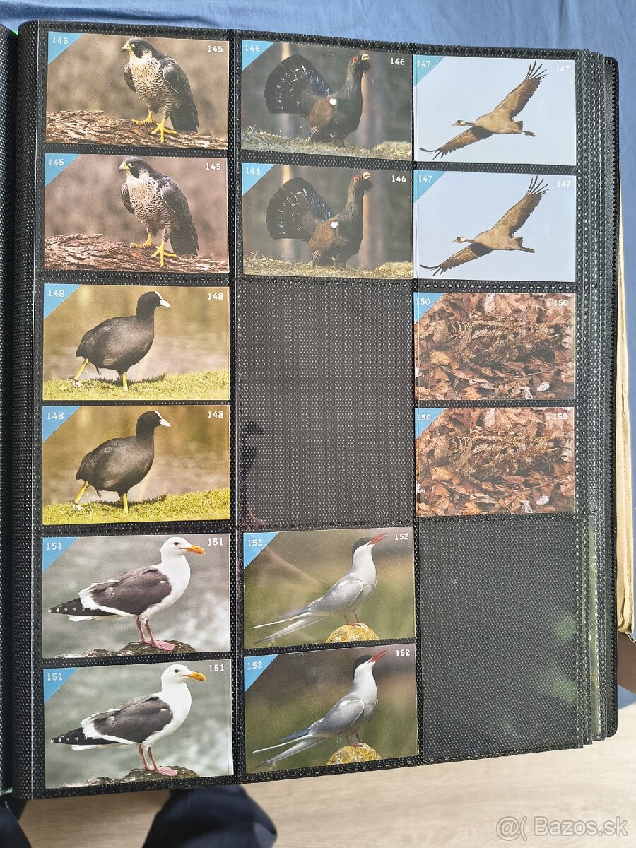 Vymením nalepky - 4