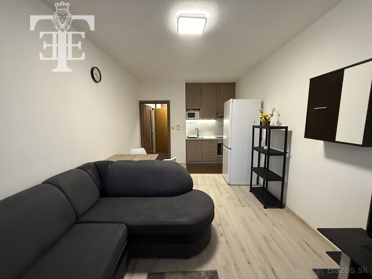 Prenájom 1 izbového bytu s vlastným parkovaním na sídlisku F - 4