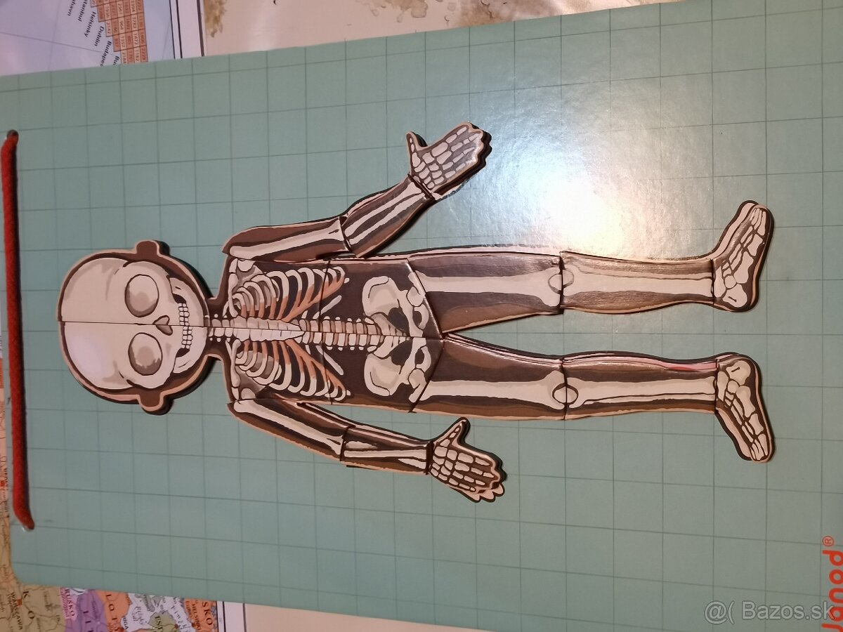 Predám ľudské telo magnety - 4