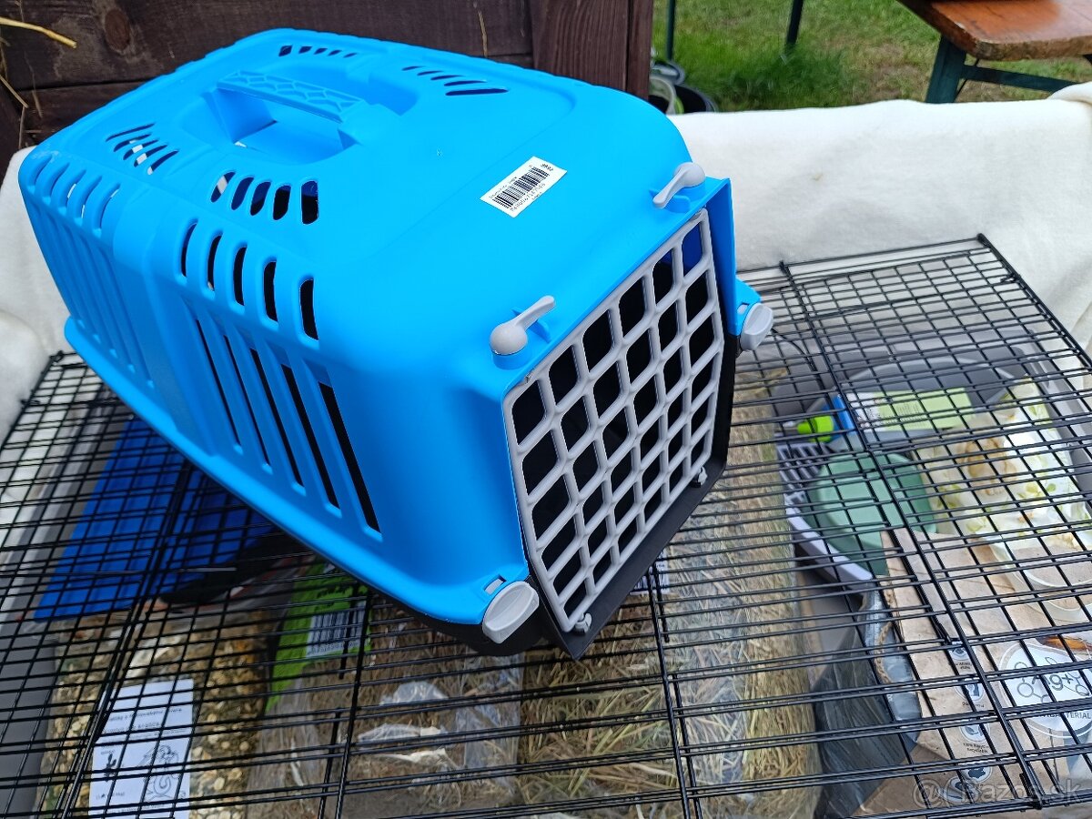 Zakrslý králik s VP - samička ruská kresba - 4