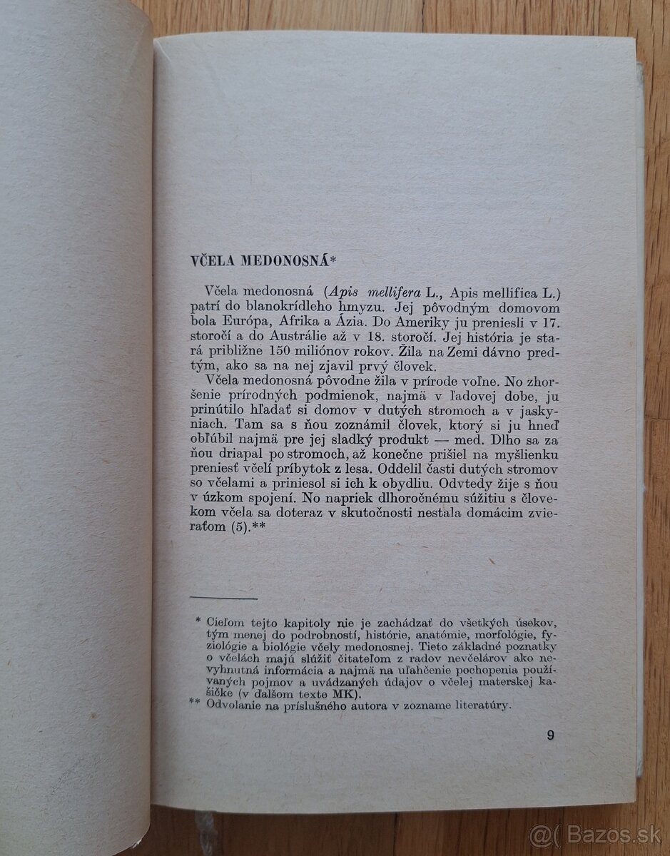 Vcelia materska kasicka - 4