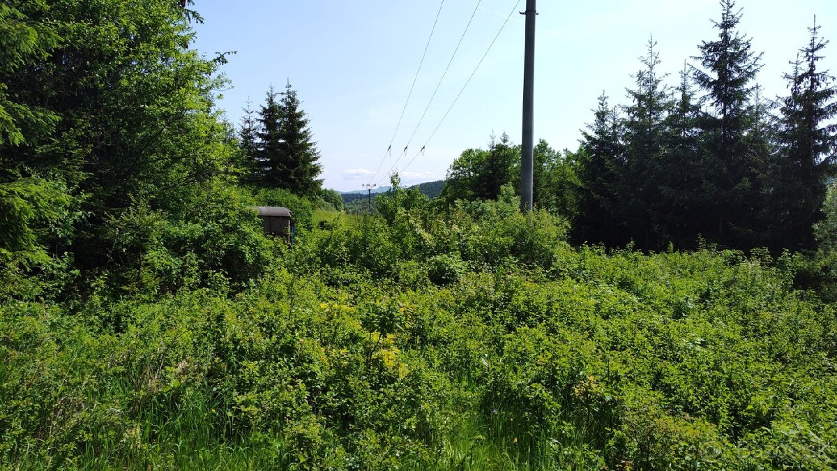 Predám rekreačný pozemok v Kolaroviciach pri Bytči - dohoda - 4