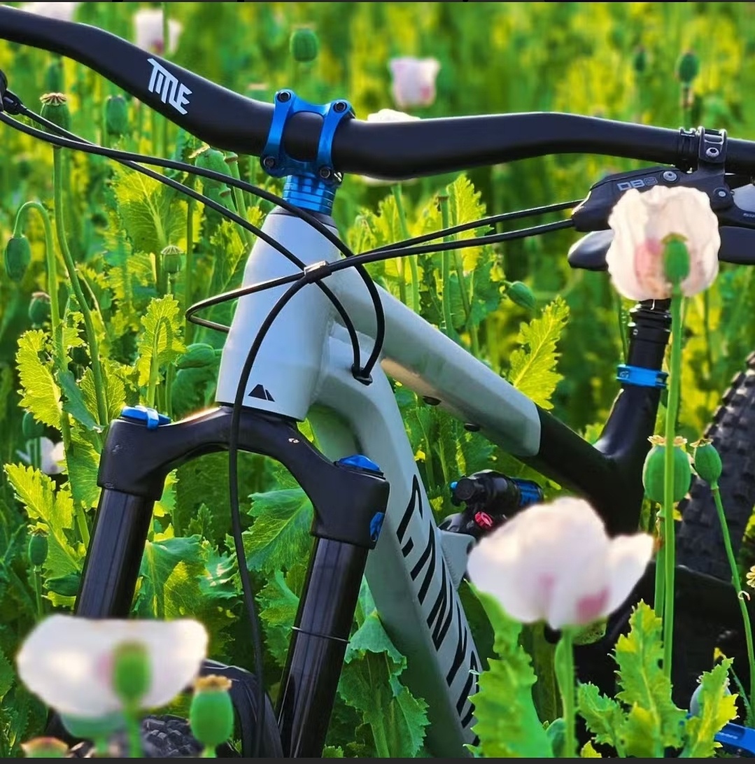 Canynon Spectral 27,5 - 4