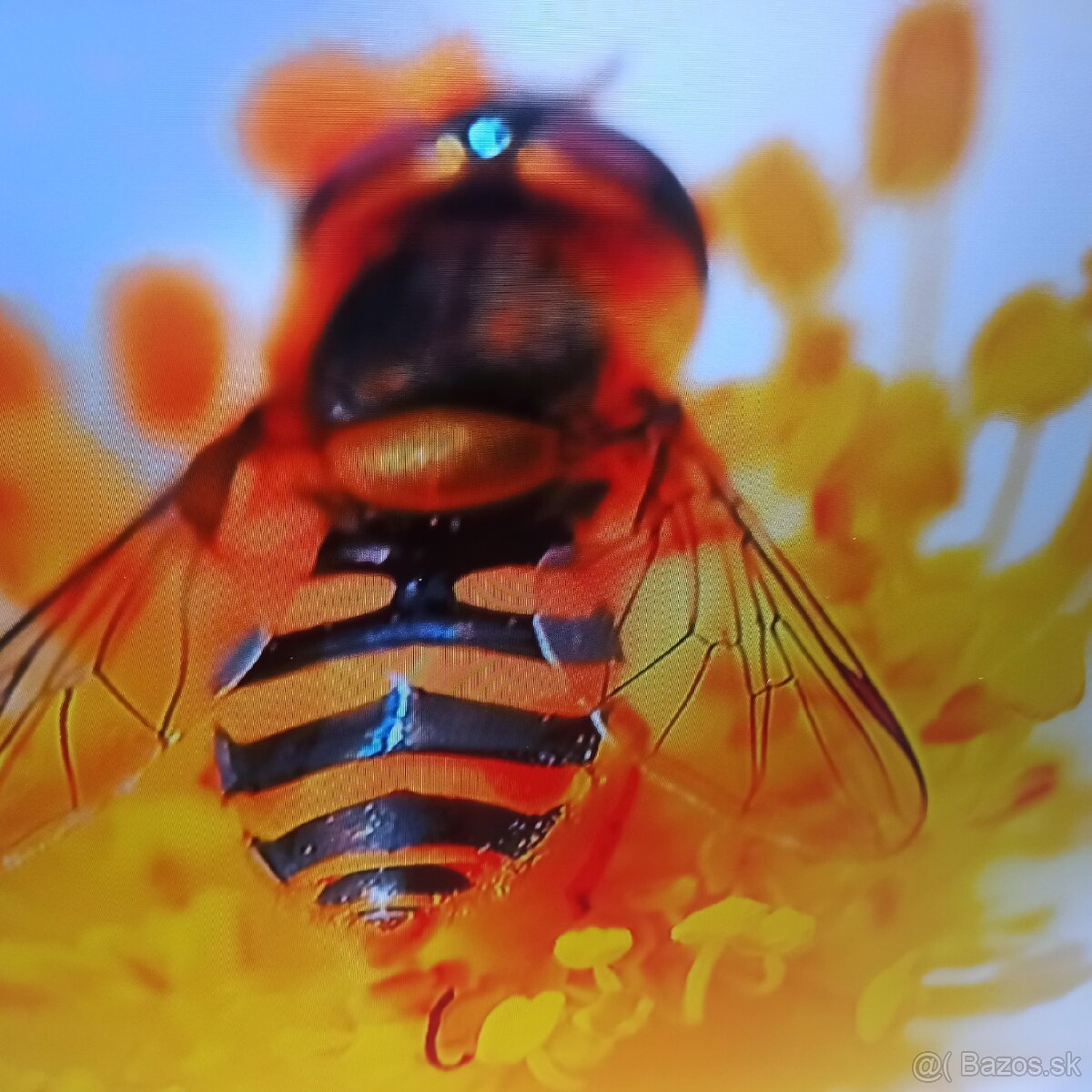 Samsung Led,LCD smart tv 4k 49(123cm) - 4