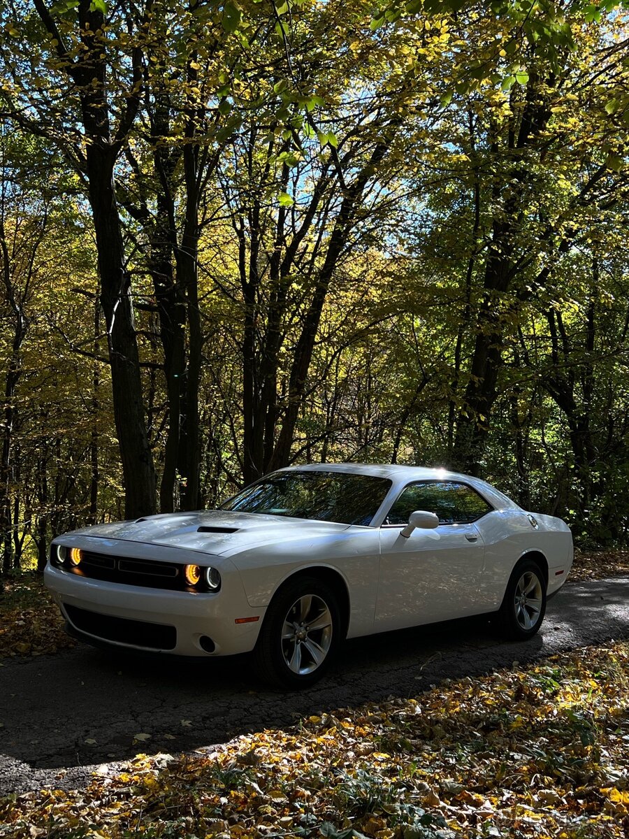 Dodge Challenger 3.6i 2016 - 4
