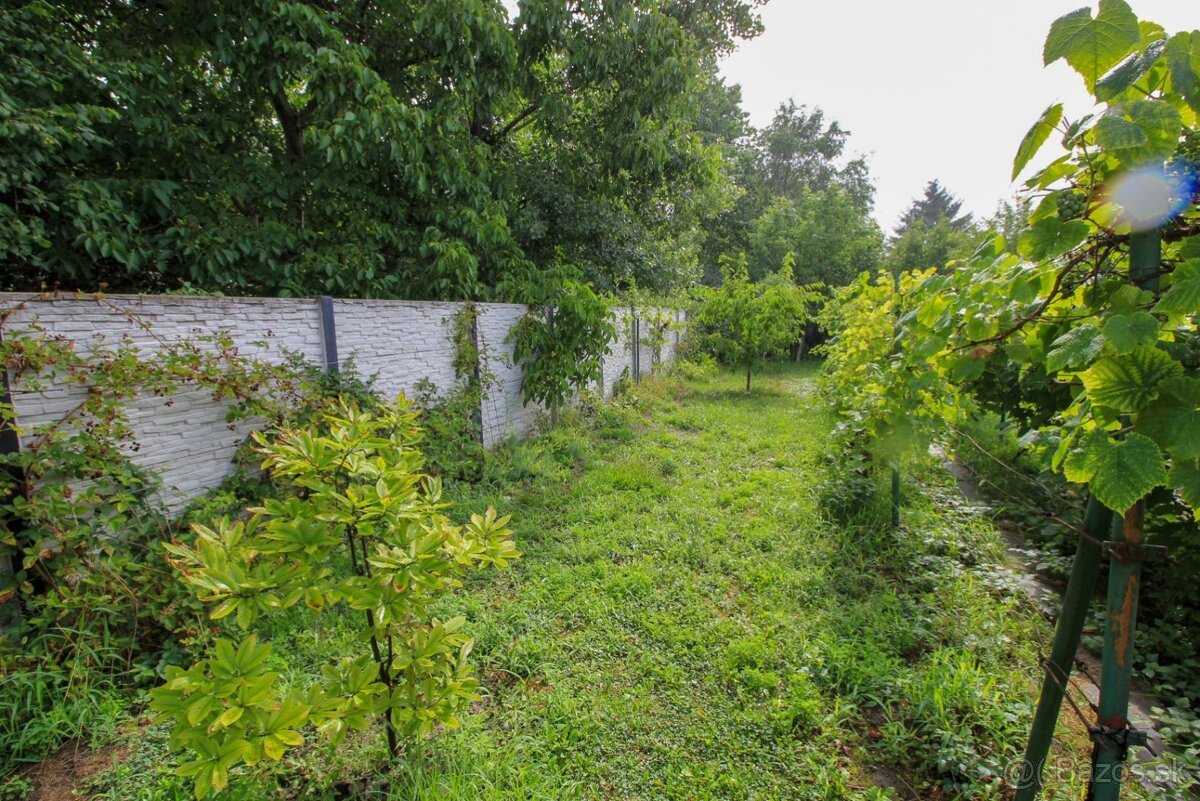 NA PREDAJ – Pestovaná záhrada s chatkou v lokalite Žabí Maje - 4