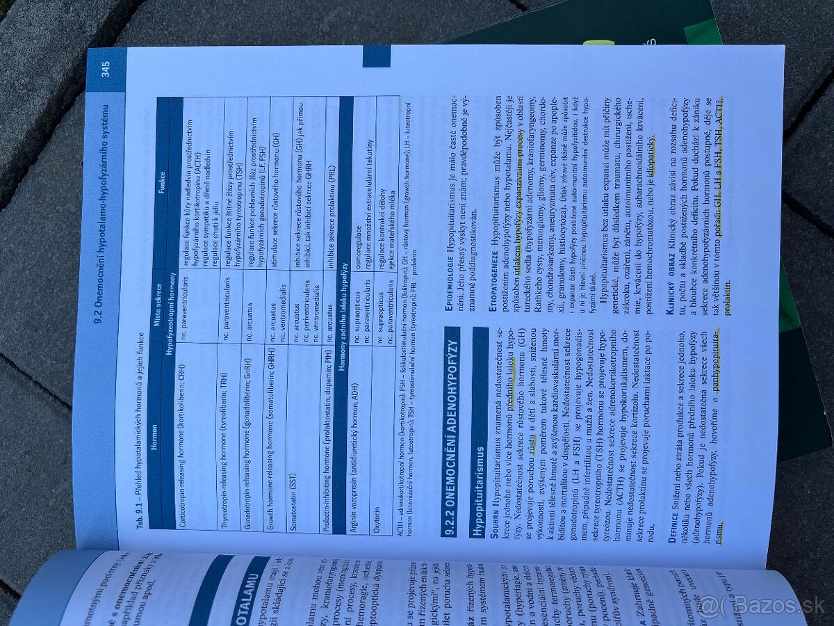 Interna Richard Češka - 4