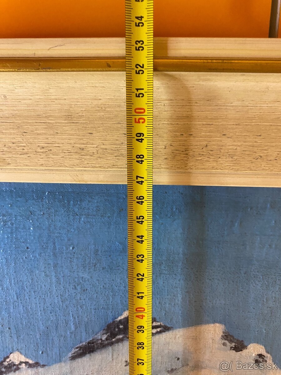 obraz Zasnežená krajina - 4