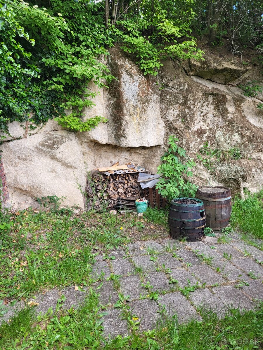 Viničný dom + vinica + ovocný sad, Čajkov, Štiavnické vrchy - 4