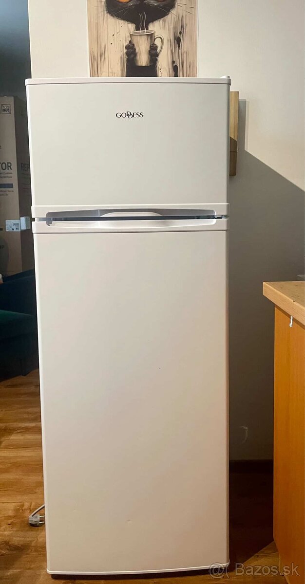 Chladnicka s mraznickou Goddes - 4